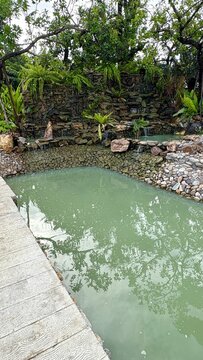 Small size of the pond in the mini garden with waterfall on the rock is background.