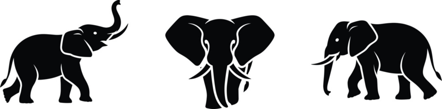 Set of three black elephant silhouettes, including a side view with trunk raised, a front-facing portrait, and a walking elephant in profile