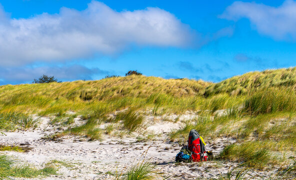 Landschaft mit Sandd&uuml;nen und D&uuml;nengras auf der Insel Hiddensee, Ostsee,  R&uuml;gen, Mecklenburg-Vorpommern, Deutschland