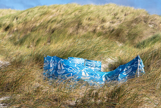 Landschaft mit Sandd&uuml;nen und D&uuml;nengras auf der Insel Hiddensee, Ostsee,  R&uuml;gen, Mecklenburg-Vorpommern, Deutschland
