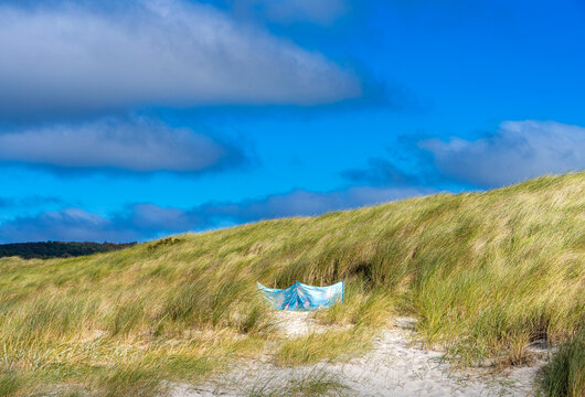 Landschaft mit Sandd&uuml;nen und D&uuml;nengras auf der Insel Hiddensee, Ostsee,  R&uuml;gen, Mecklenburg-Vorpommern, Deutschland