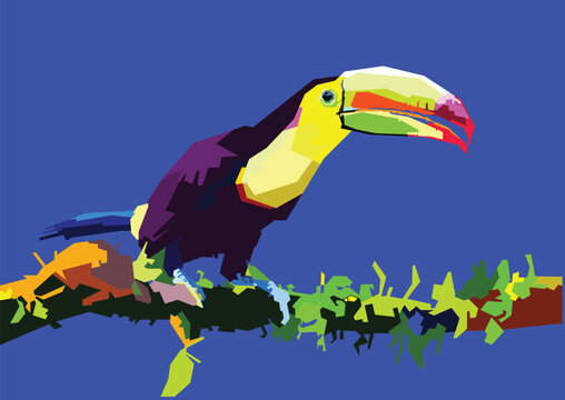 Hornbills tropical exotic bird colorful illustration vector.