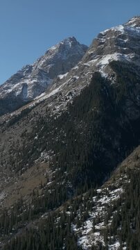 Drone footage of Barskoon Gorge with rugged snowcapped mountains, conifer forest slopes and a winding valley road under clear blue sky in Issyk Kul Region, Kyrgyzstan
