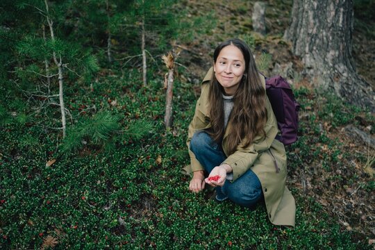 Woman gathering wild lingonberries in a pine forest and showing red berries in her hand, highlighting seasonal foraging, natural food and outdoor lifestyle.