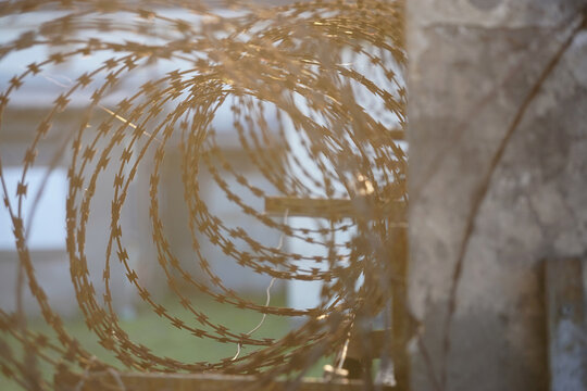 Close up shot of razor barbed wire coils mounted on a concrete wall with bright sun flare in the background. Concept of security, prison fence, boundary protection, restriction, and border control.   