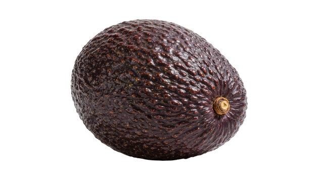 Dark bumpy skinned Hass avocado with stem, isolated on transparent background