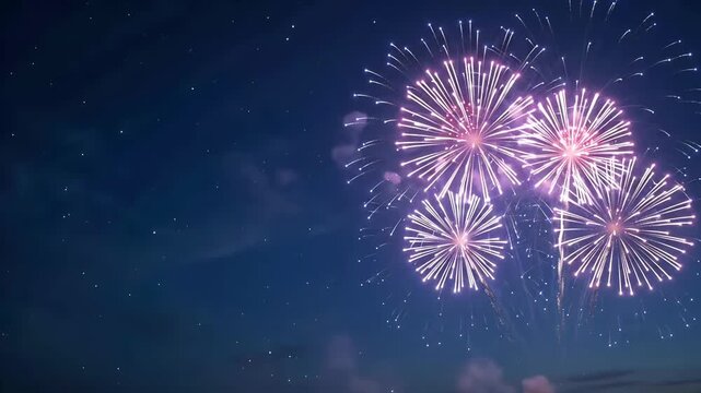 Blue and white fireworks exploding with left copy space animated loop video background for New Year and Diwali
