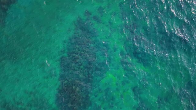 Submerged rocks beneath turquoise Lake Tahoe water. Dark stones are visible through ripples, with patches of sunlight on the surface in an overhead view.