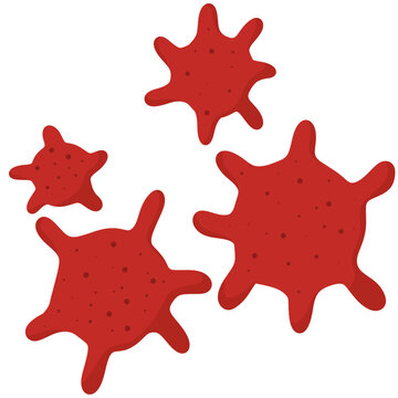 A platelet count measures the number of thrombocytes 