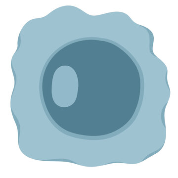 Stem cells are unspecialized biological building blocks that can self-renew and differentiate into specialized cell types like muscle, nerve, or blood cells.
