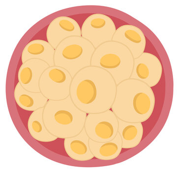Morula phase of embryo development