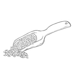 Obraz premium Wooden scoop with grain sketch. Hand drawn vector illustration of rustic flour or cereal seeds scoop isolated on white background.