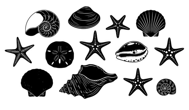 Black sea shells and starfish collection isolated on white background vector illustration