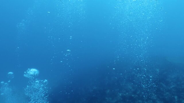 Scuba diver air bubbles rising gracefully toward the blue water surface