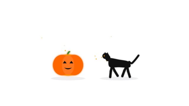 Halloween pumpkin and black cat sequence on minimalist background with subtle motion and copy space