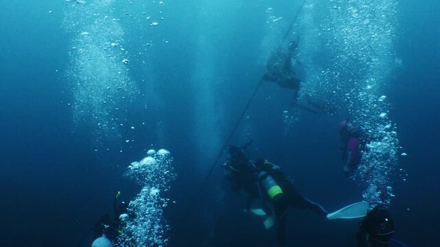 \Scuba divers gathered around a rope and rising air bubbles in the blue ocean