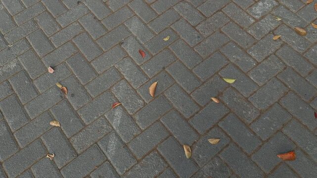 Dry Leaf on Paving Block Walkway