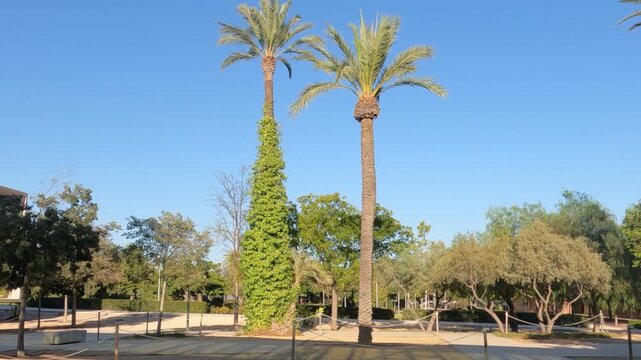 Jardines Universidad Miguel Hern&aacute;ndez elche Alicante espa&ntilde;a
