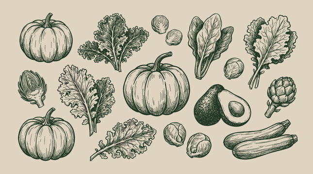 Vintage hand drawn vegetable collection with pumpkins kale avocado and artichokes on beige background