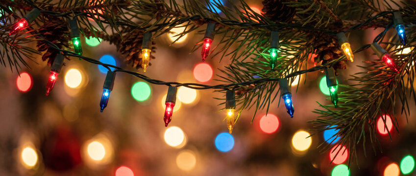 Multicolored string lights hang on pine tree branches, with blurred festive lights in the background creating a warm holiday atmosphere.