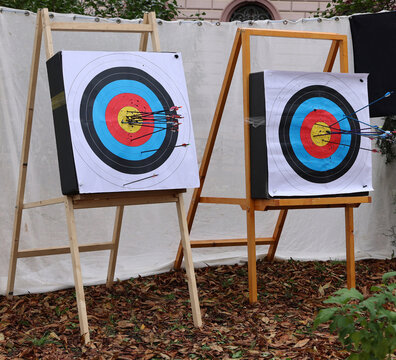 Targets for shooting and many arrows at the target.
