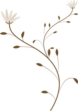 S-Curved Floral Vine Branch With Star Blossoms
