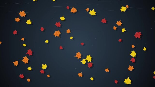 Falling Autumn Maple Leaves Motion Graphic Animation On Dark Blue Background Seasonal Nature Concept