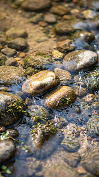 Clear shallow stream water flows over smooth wet river rocks, with small moss and ripples on the surface.