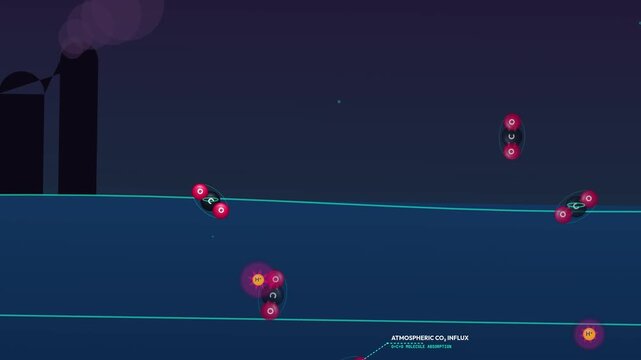 Scientific animation explaining ocean acidification and its devastating impact on marine ecosystems, detailing the dissolution of pteropod sea butterfly aragonite shells and trophic web collapse