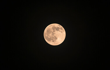 The Harvest Moon is the full moon that happens closest to the autumnal equinox. It usually occurs in September, but can fall in early October depending on the lunar cycle. Bamboo and neem leaves. © Soumyabrata