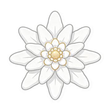Original Layered Snowflake Edelweiss Die-Cut Sticker Flat Vector Art