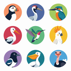 Fototapeta premium Cartoon bird species head and profile icon set.