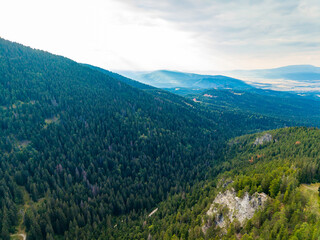 Fototapeta premium Drone view of a mountain landscape with dense forest and distant hills on a cloudy day in the early afternoon
