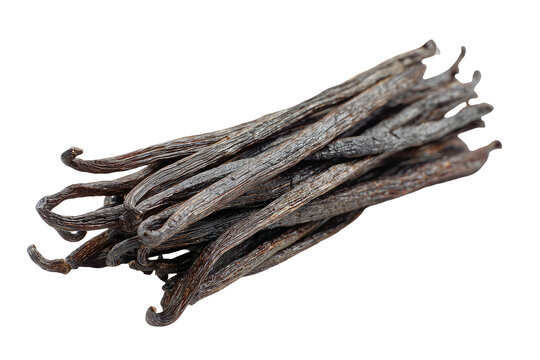 Dried vanilla beans arranged in a bundle with natural textures isolated on transparent background