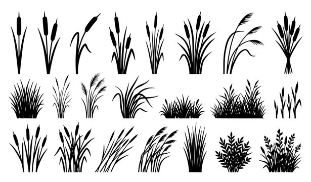 Marsh Reeds and Cattails Silhouette Vector Set for River Shore and Wetland Designs