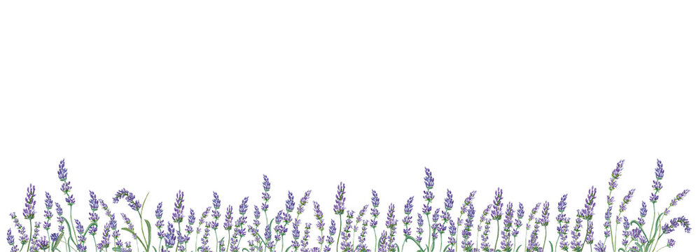 Eukalyptus Illustration watercolor Clipart Floral Blume Hochzeit Flower handmadecards kartengestaltung