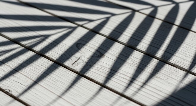 Shadow of palm leaf frond cast on white painted wooden deck planks creating a striped pattern effect