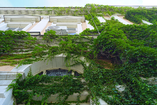 Building facade draped in Virginia creeper with arched entrance and HVAC. Highlights clash between historic architecture and modern utilities, unchecked vine growth, and pollution-trapping vegetation.