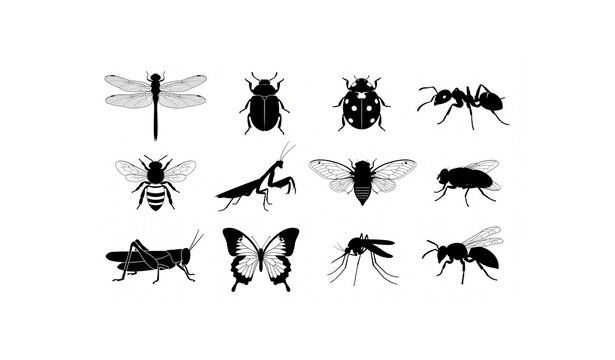 Black Insect Silhouettes Collection with Dragonfly Beetle Ladybug Ant Bee and Mantis Vector Set