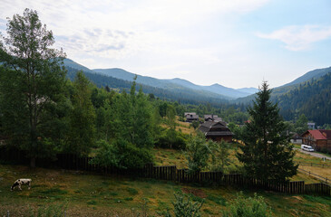peaceful rural mountain village set in a forested valley with wooden houses, a grazing cow, meadows and distant blue ridges. Serene summer landscape perfect for nature, travel and countryside themes. © Loginova