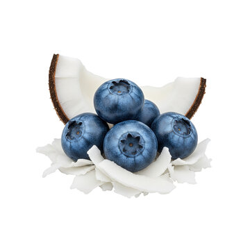 Hyperrealistic flavor emblem featuring fresh blueberries with natural powdery bloom resting against a curved coconut wedge, white coconut curls framing the base pn white background.