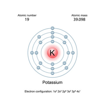 Potassium periodic table, electron configuration of element, Bohr model. K or potassium. Alkali metal structure. Vector illustration, isolated on white background, editable.