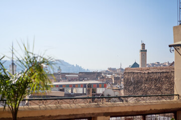 Obraz premium A rooftop view of a cityscape with pink buildings and palm trees under a clear blue sky.