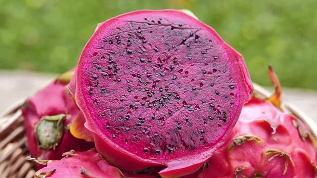 Ripe red dragon fruit in a basket
