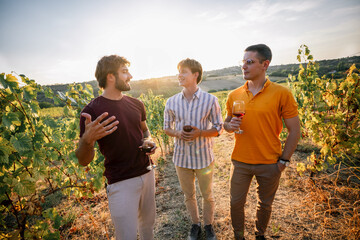 Obraz premium Three young men talking and holding wine glasses in a sunny vineyard