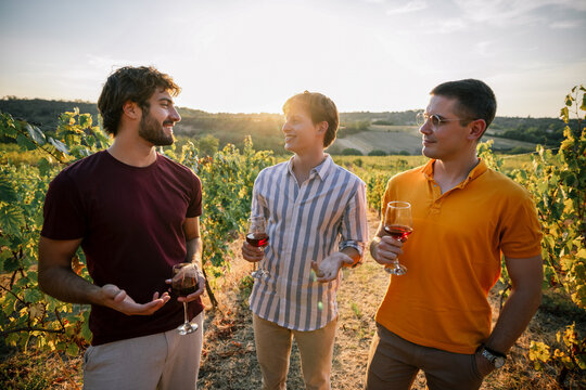 Three male friends enjoying wine tasting and conversation in vineyard