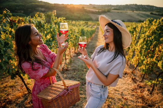 Two female friends inspecting glasses of red wine at vineyard