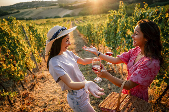 Two excited female friends gesturing and talking with wine in vineyard