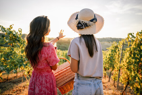 Two women from behind pointing at vineyard sunset landscape