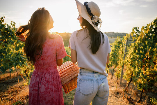 Rear view of two young women strolling through vineyard at golden hour